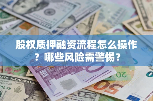 武汉股权质押融资流程怎么操作？哪些风险需警惕？