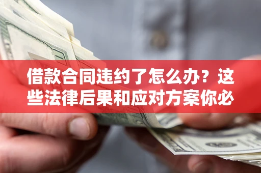 武汉借款合同违约了怎么办？这些法律后果和应对方案你必须知道