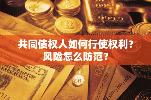 武汉共同债权人如何行使权利？风险怎么防范？