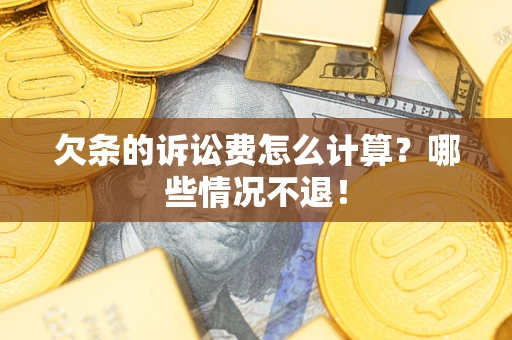 武汉欠条的诉讼费怎么计算？哪些情况不退！