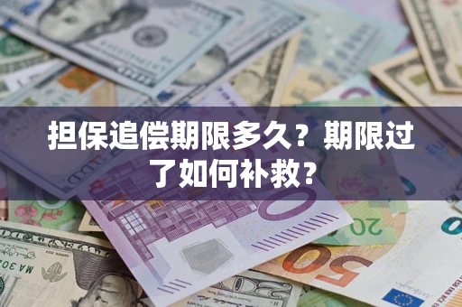 武汉担保追偿期限多久？期限过了如何补救？