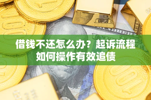 武汉借钱不还怎么办？起诉流程如何操作有效追债